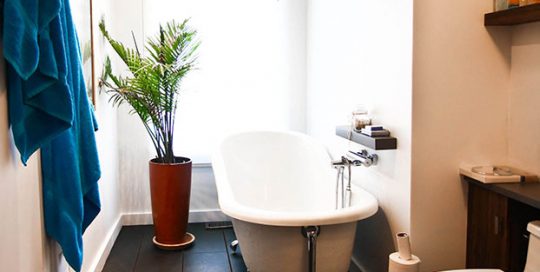 Rénovation de salle de bain